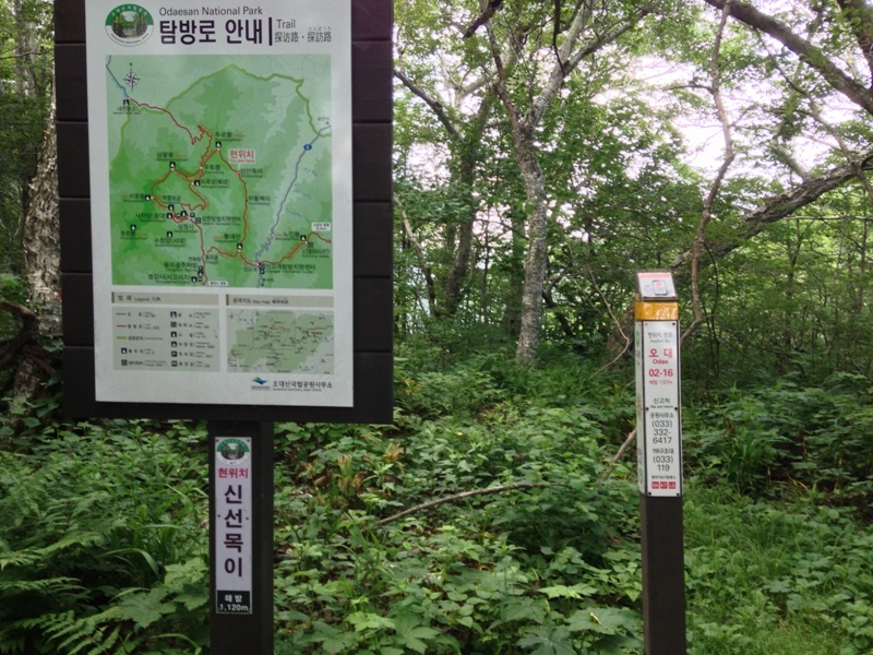 오대산_0442.JPG