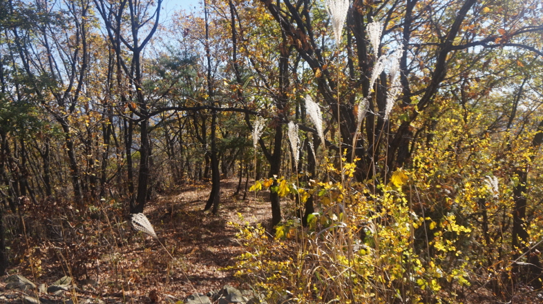 크기변환_20161029-30연차대회063.JPG 크기변환_20161029-30연차대회063.JPG