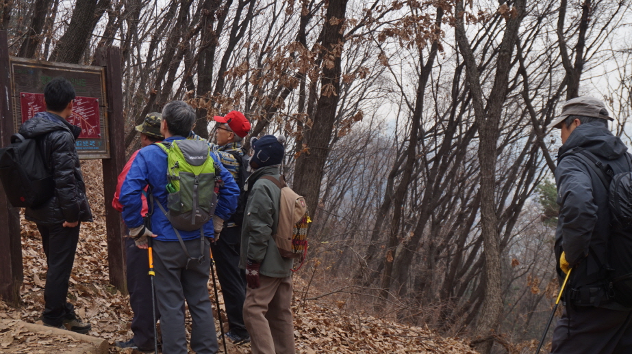 20161126청계산021.JPG