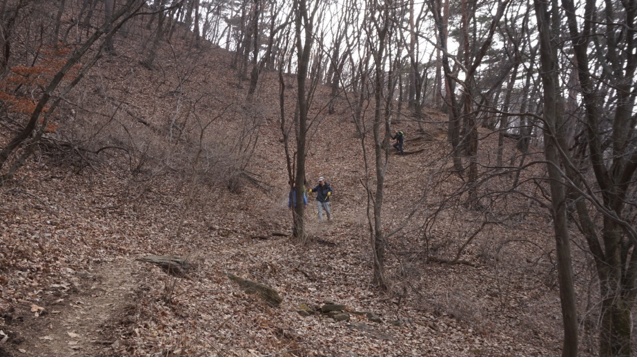 20170325청계산025.JPG