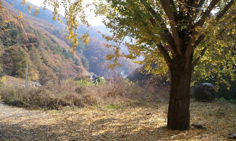 20121027-28연차대회호명산030.jpg