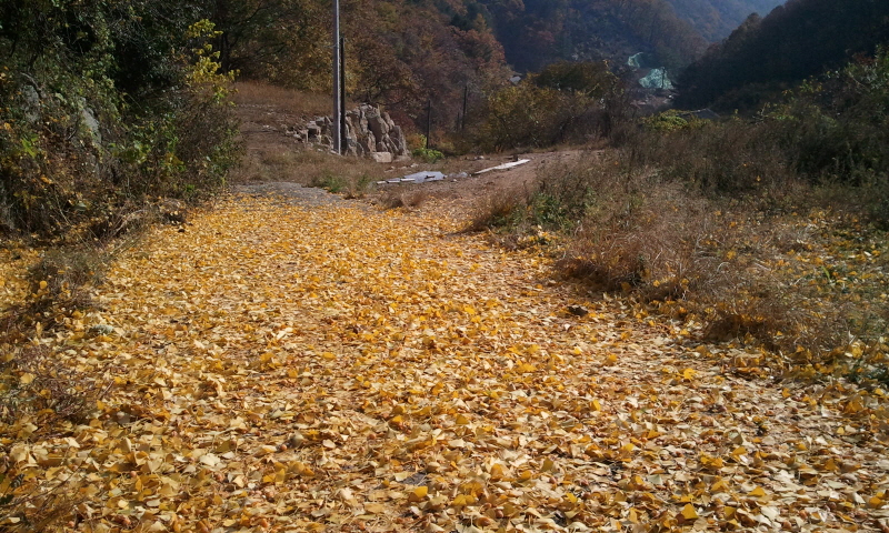 20121027-28연차대회호명산032.jpg