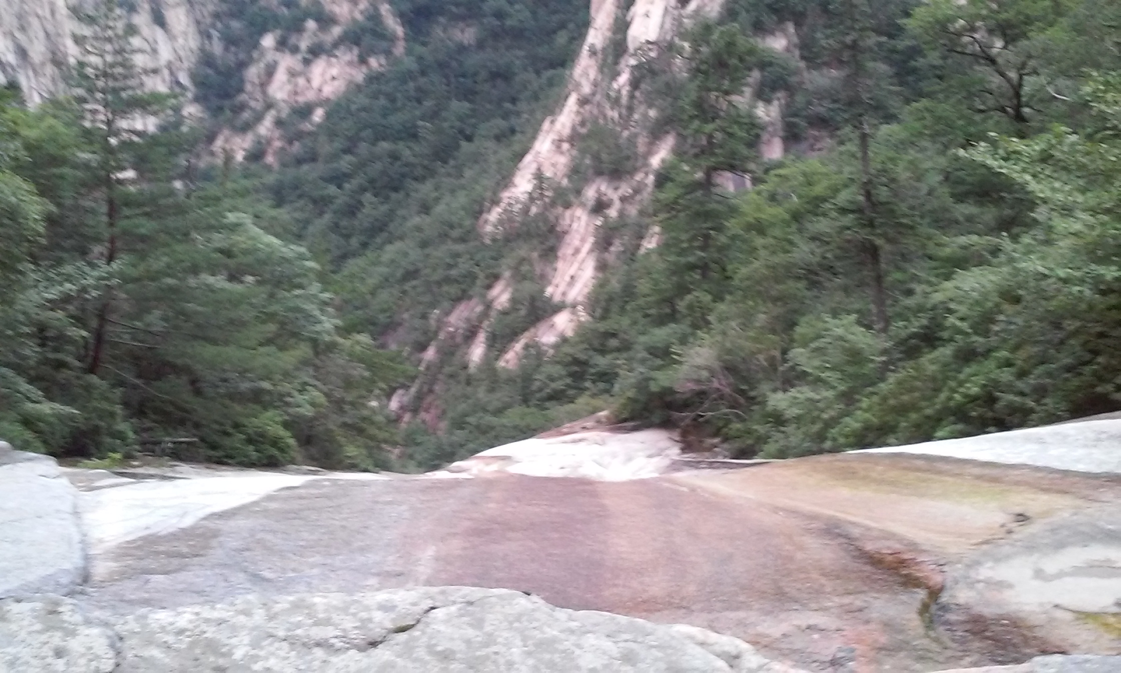 20170729_183903.jpg 20170729_183903.jpg