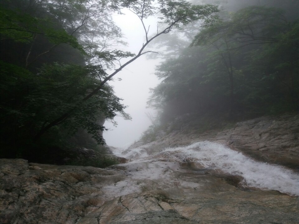 KakaoTalk_20170801_193148707.jpg KakaoTalk_20170801_193148707.jpg