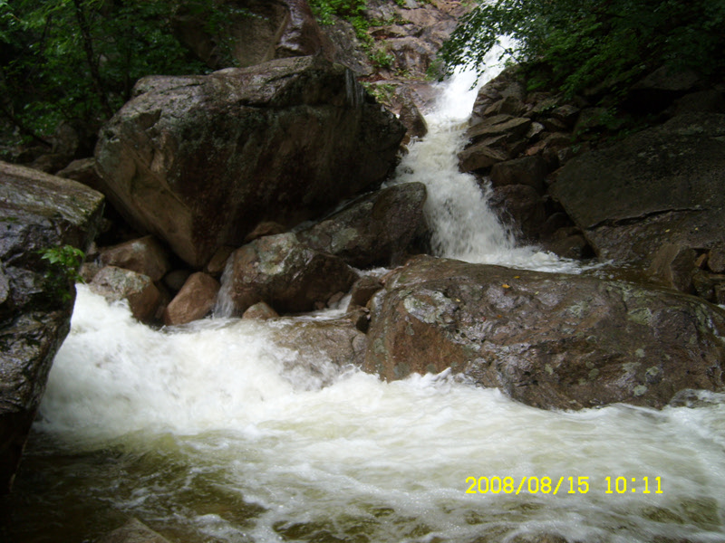 SL730447.jpg SL730447.jpg