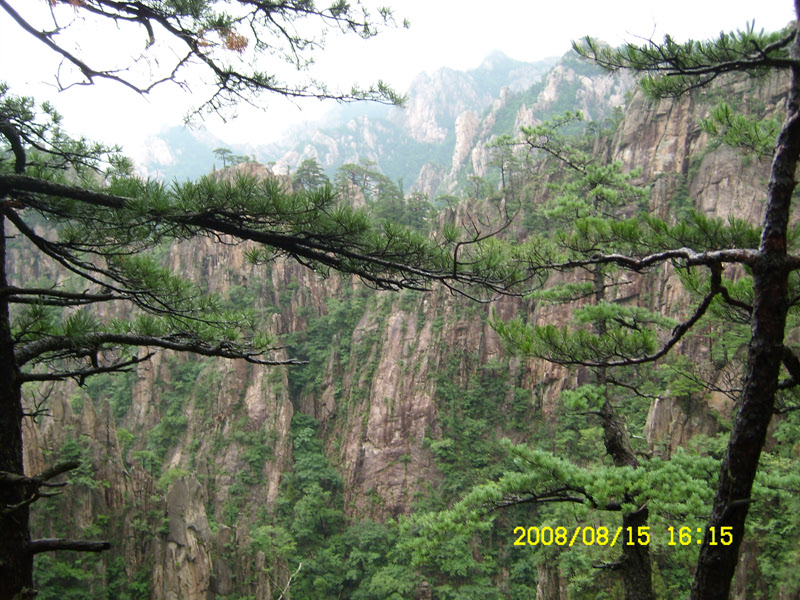 SL730454.jpg SL730454.jpg