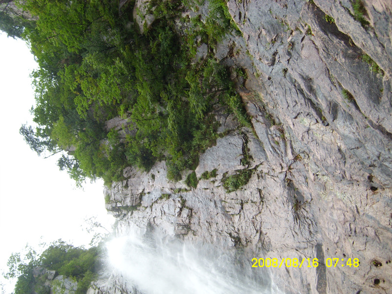 SL730467.jpg SL730467.jpg