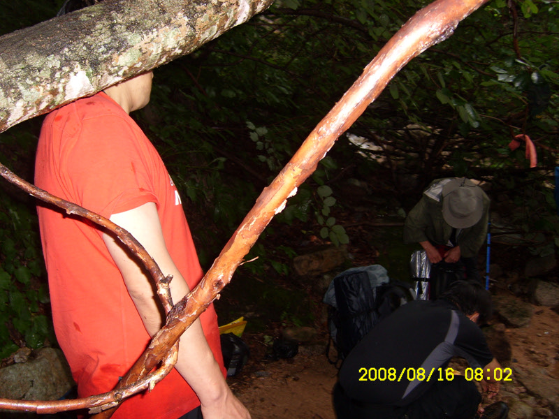 SL730468.jpg SL730468.jpg