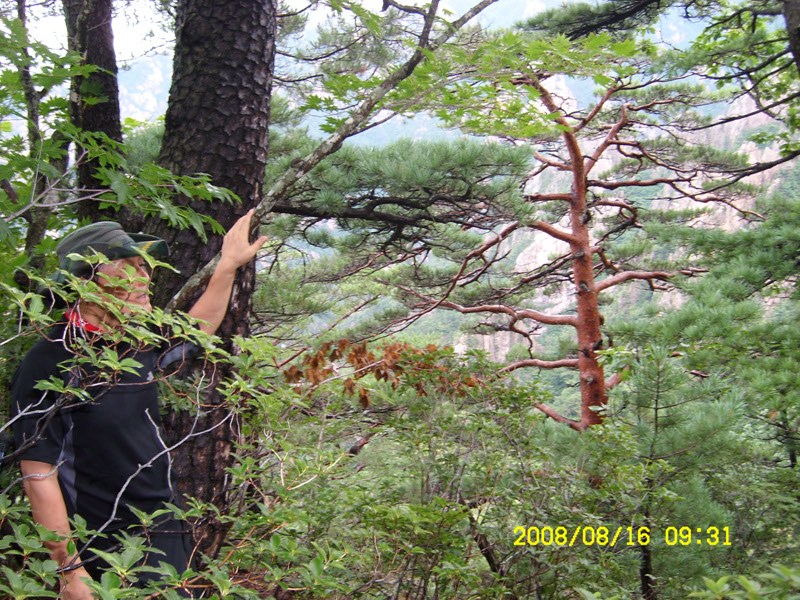 SL730472.jpg SL730472.jpg