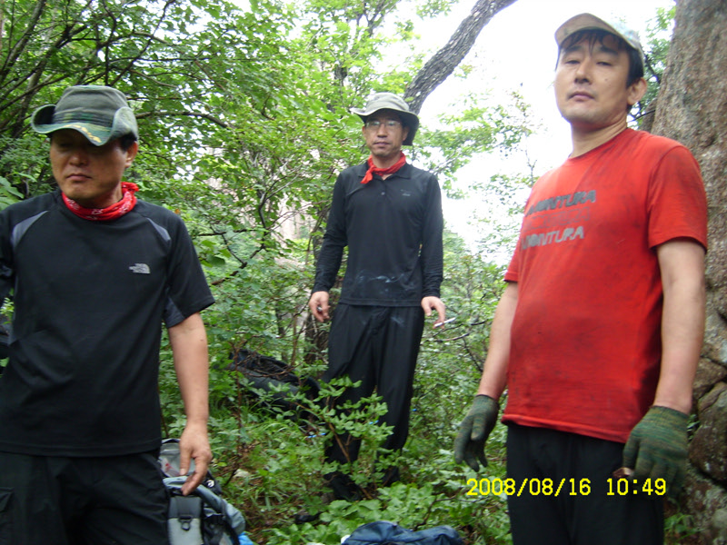 SL730473.jpg SL730473.jpg