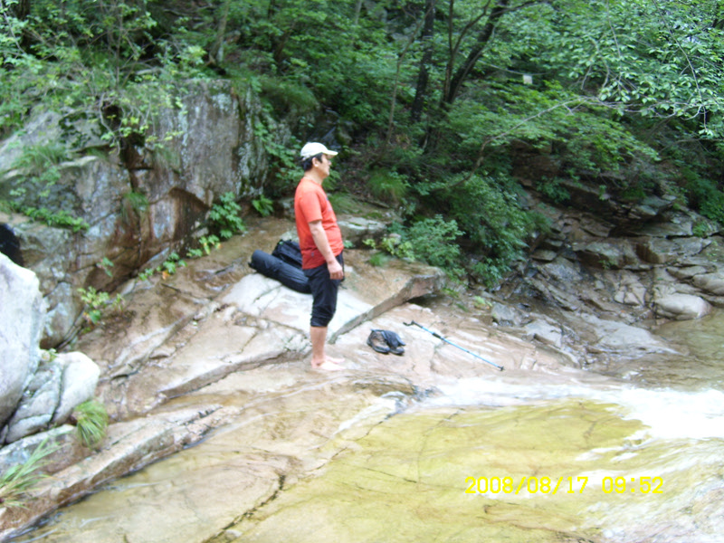 SL730483.jpg SL730483.jpg