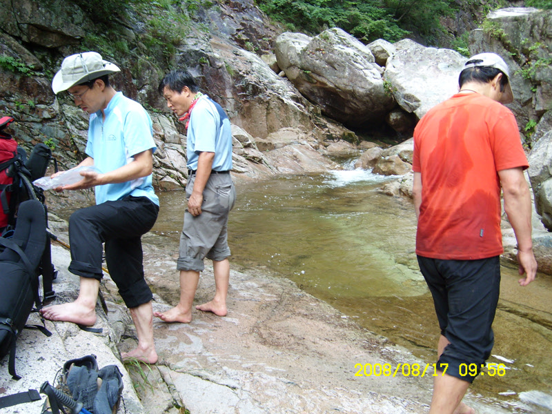 SL730489.jpg SL730489.jpg