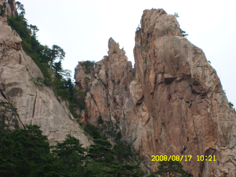 SL730492.jpg SL730492.jpg