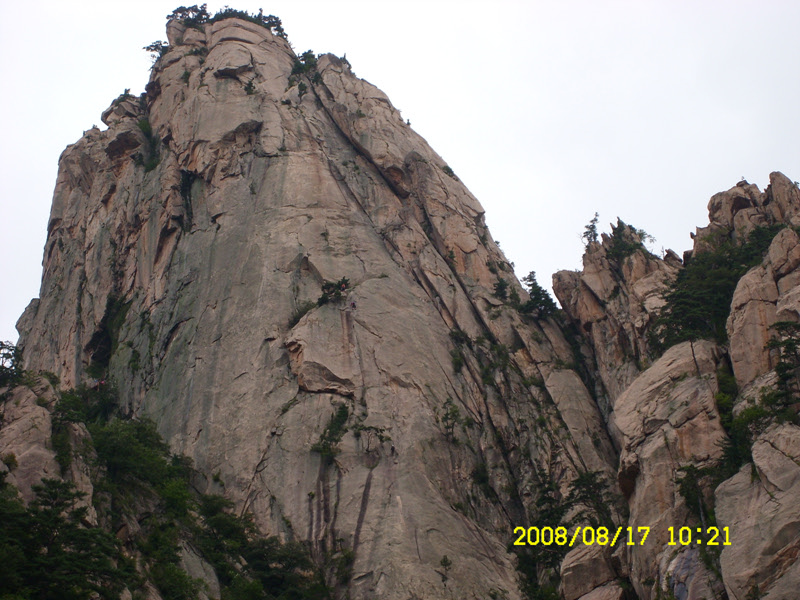 SL730493.jpg SL730493.jpg