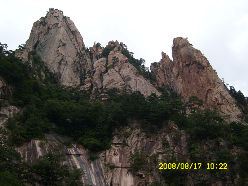 SL730494.jpg SL730494.jpg