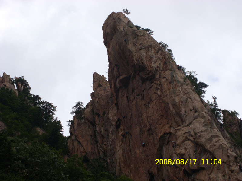 SL730497.jpg SL730497.jpg