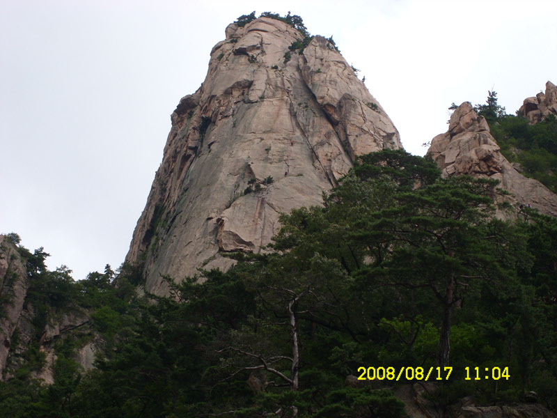 SL730498.jpg SL730498.jpg