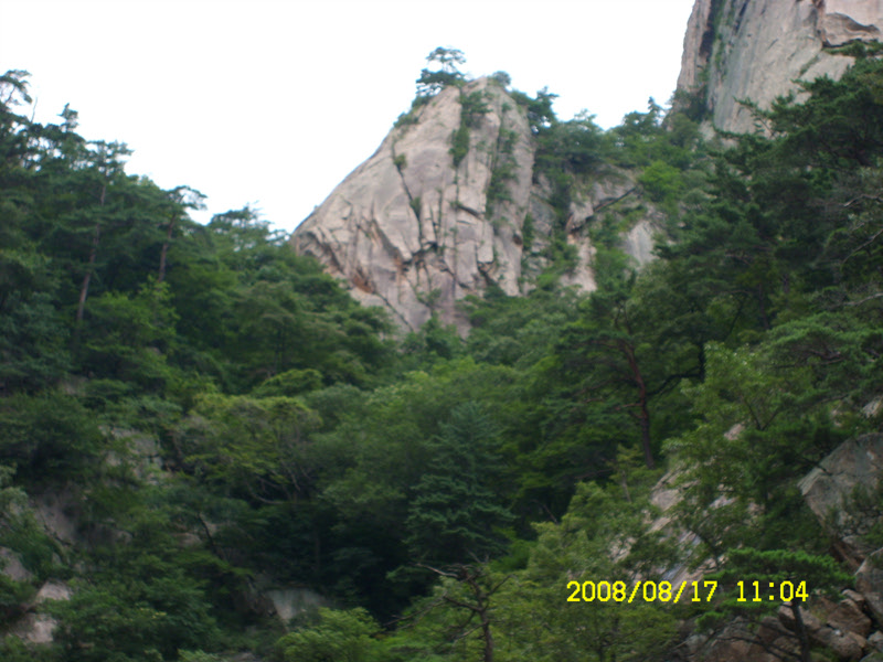 SL730499.jpg SL730499.jpg