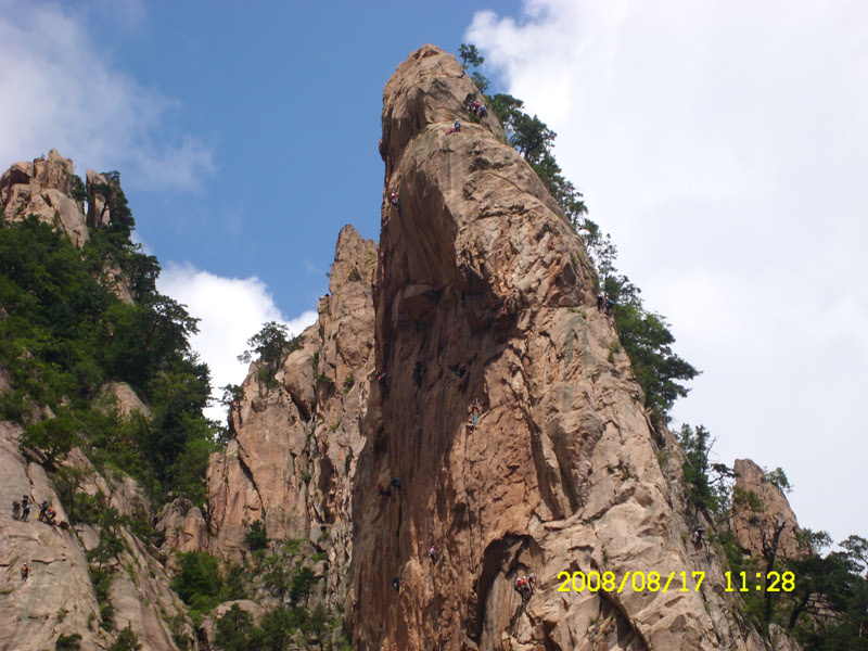 SL730500.jpg SL730500.jpg