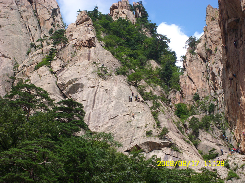 SL730502.jpg SL730502.jpg