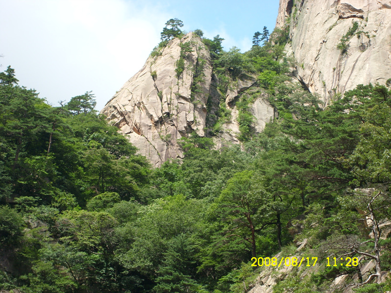 SL730503.jpg SL730503.jpg