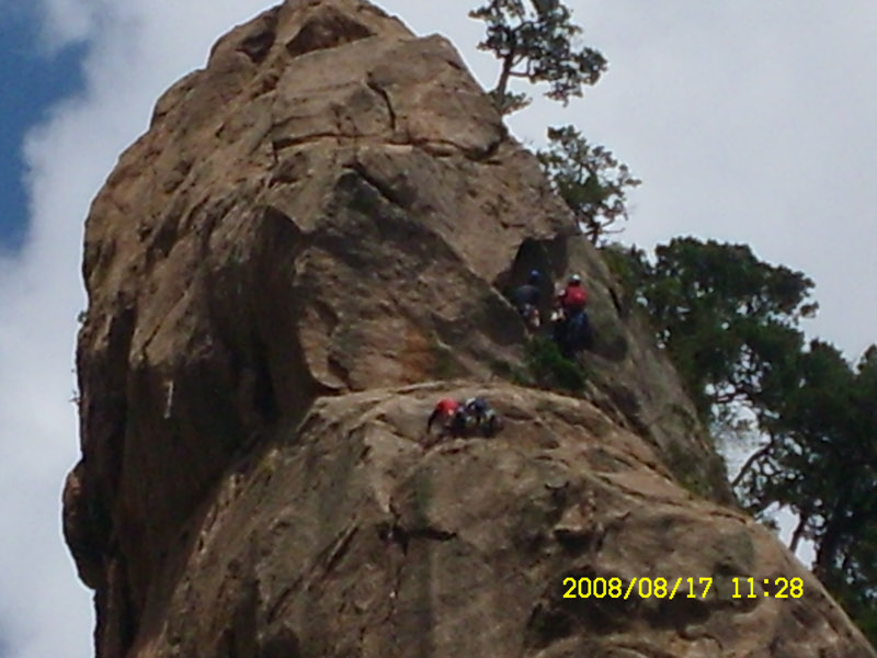 SL730504.jpg SL730504.jpg