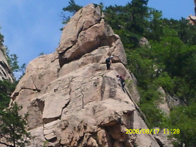 SL730505.jpg SL730505.jpg