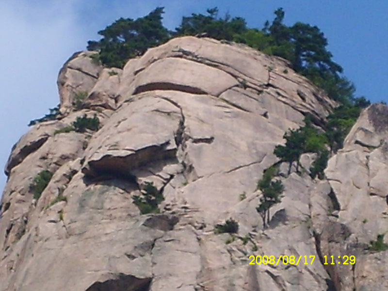 SL730506.jpg SL730506.jpg