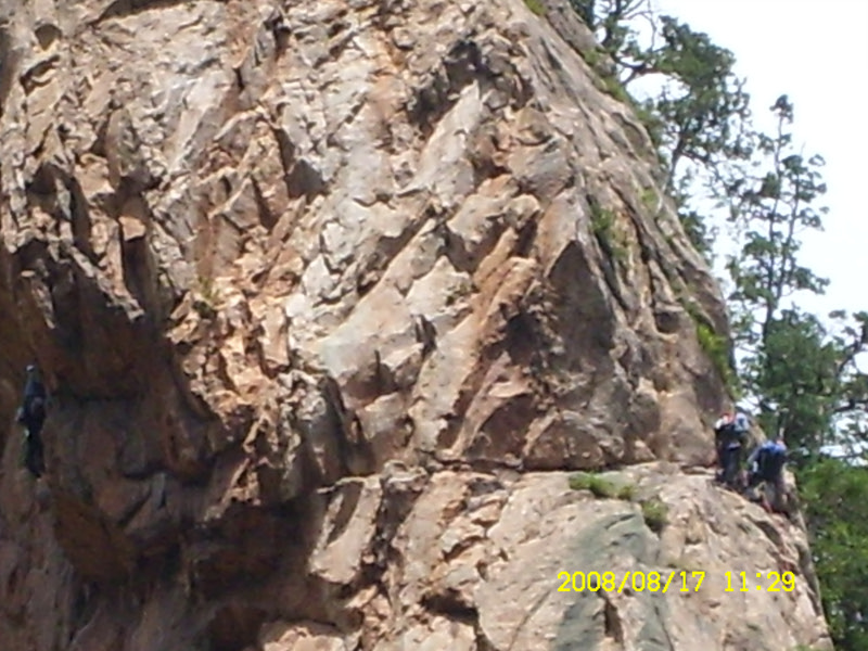 SL730507.jpg SL730507.jpg