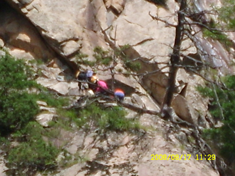 SL730509.jpg SL730509.jpg