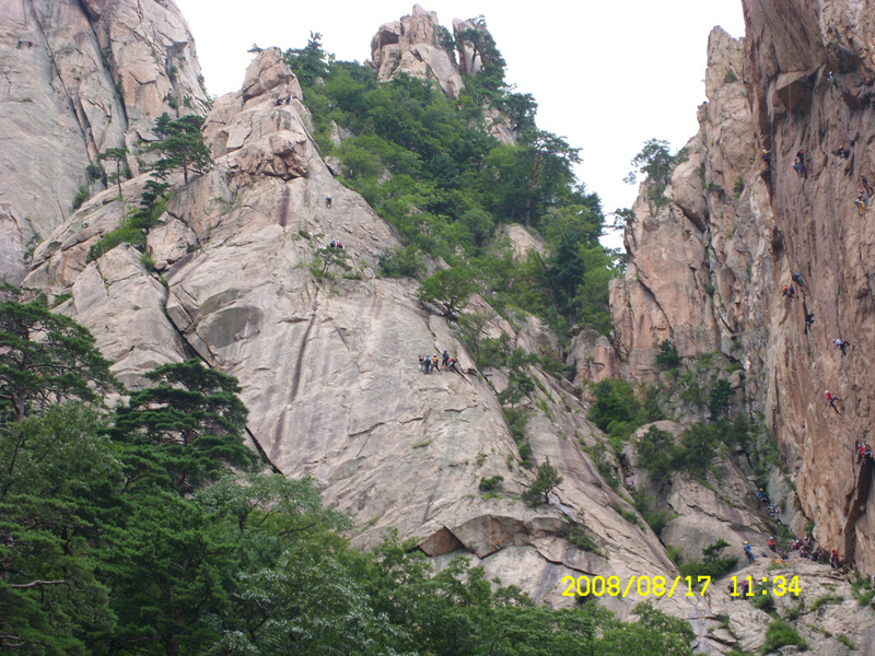 SL730513.jpg SL730513.jpg