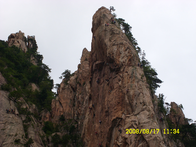 SL730514.jpg SL730514.jpg