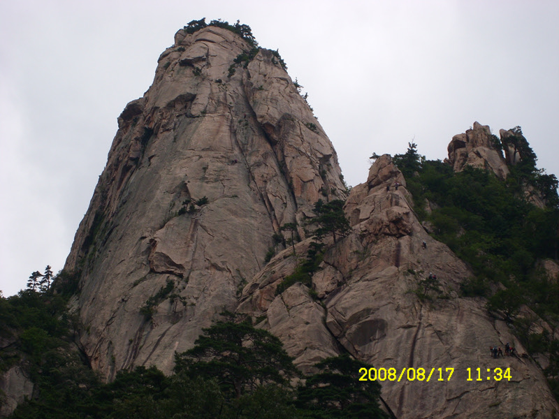 SL730515.jpg SL730515.jpg