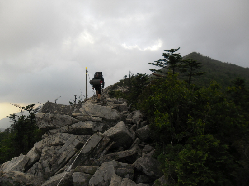 크기변환_귀청을 향하여.JPG