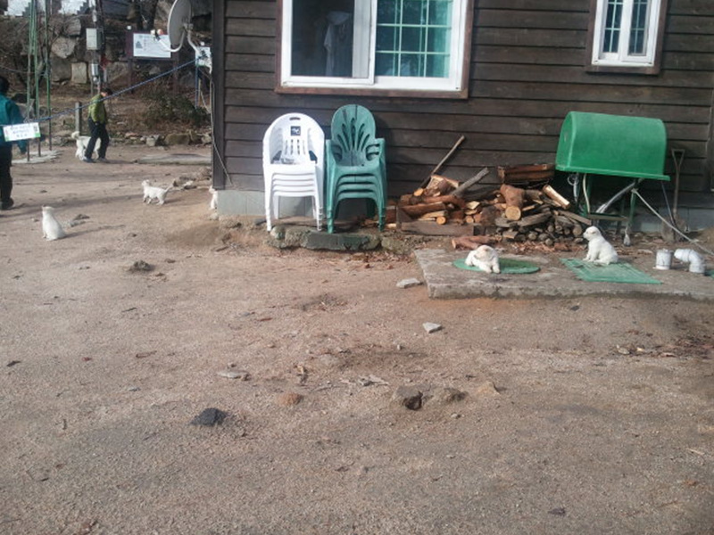 2011-12-03 10.37.02.jpg