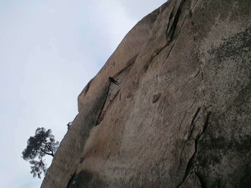 2011-12-03 15.00.04.jpg