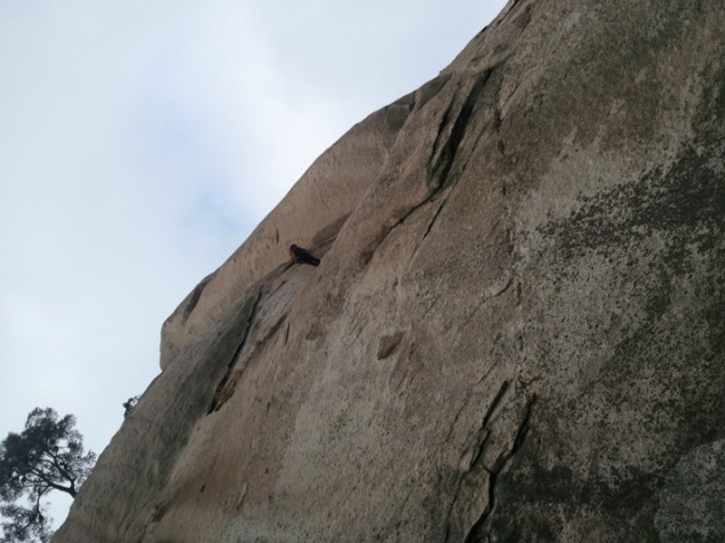 2011-12-03 15.00.13.jpg