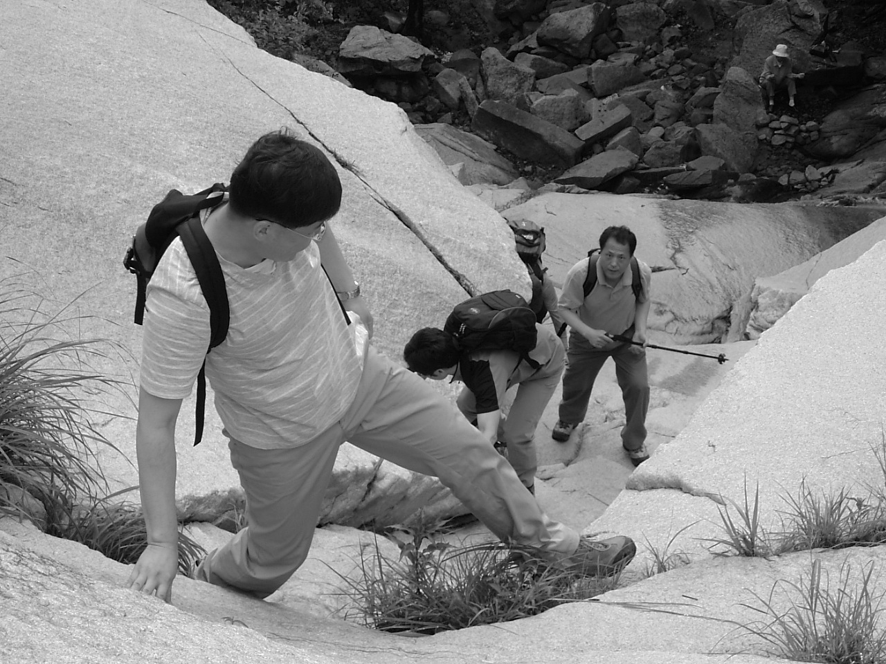 DSCF9533.JPG DSCF9533.JPG