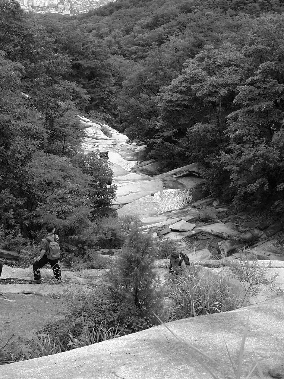 DSCF9537.JPG DSCF9537.JPG