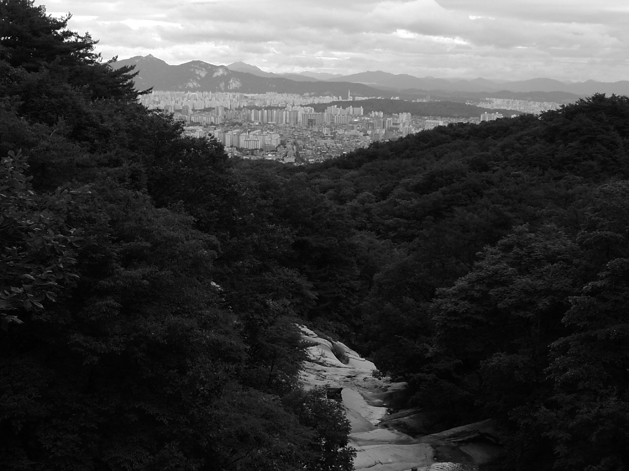 DSCF9541.JPG DSCF9541.JPG