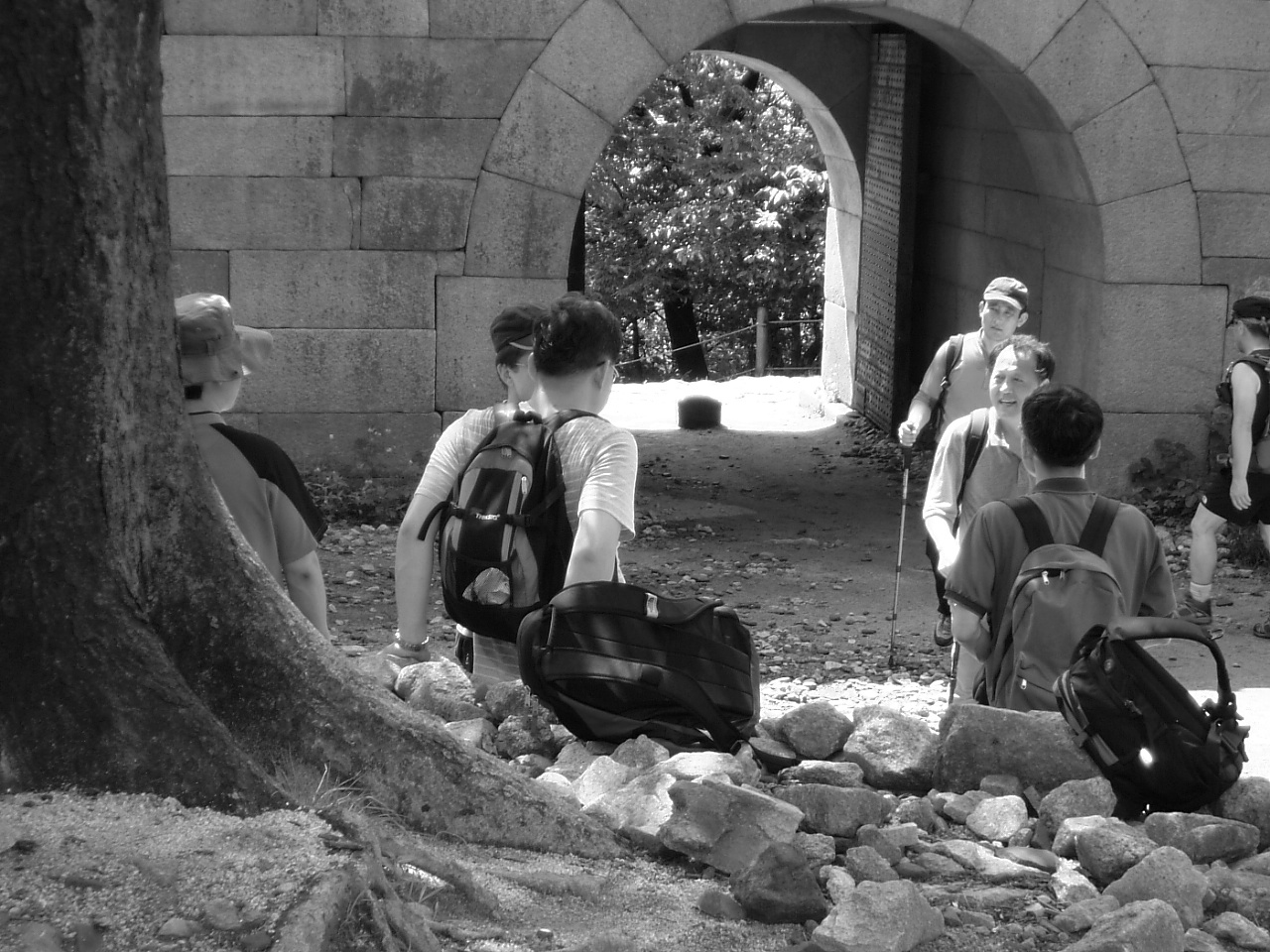 DSCF9545.JPG DSCF9545.JPG