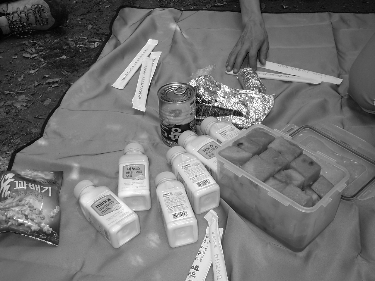 DSCF9547.JPG DSCF9547.JPG