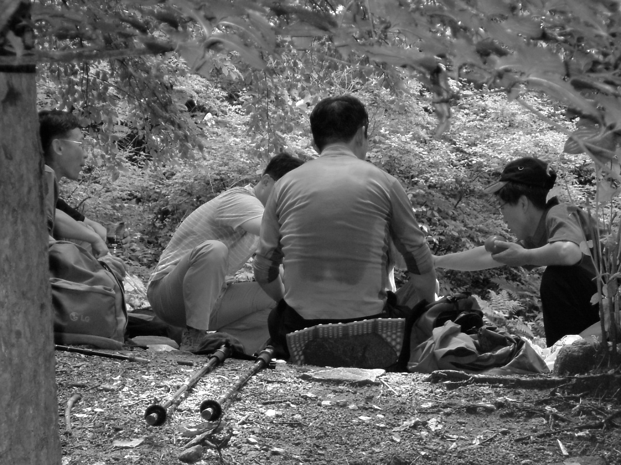 DSCF9551.JPG DSCF9551.JPG