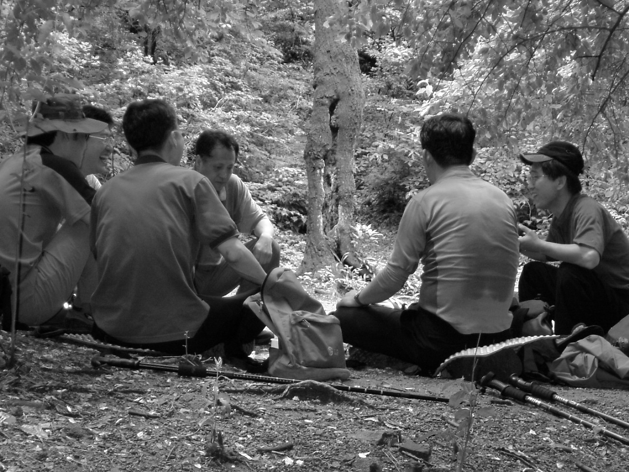 DSCF9553.JPG DSCF9553.JPG