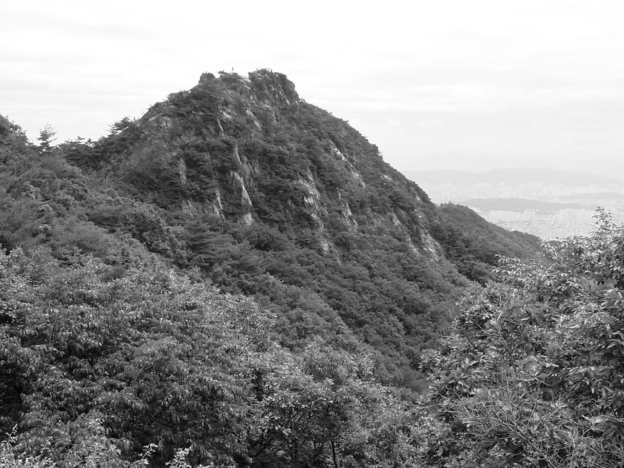 DSCF9558.JPG DSCF9558.JPG