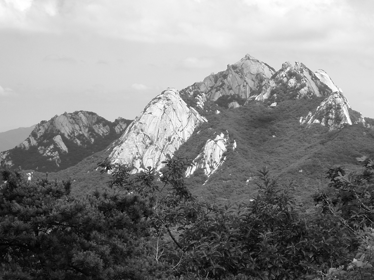 DSCF9559.JPG DSCF9559.JPG