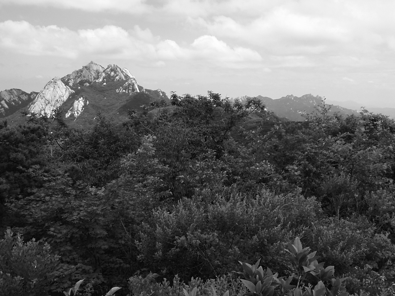 DSCF9560.JPG DSCF9560.JPG