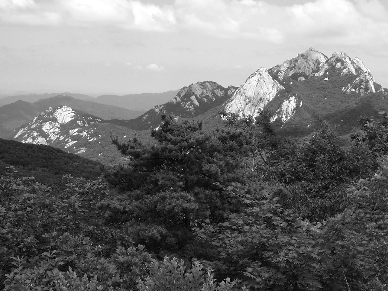 DSCF9561.JPG DSCF9561.JPG