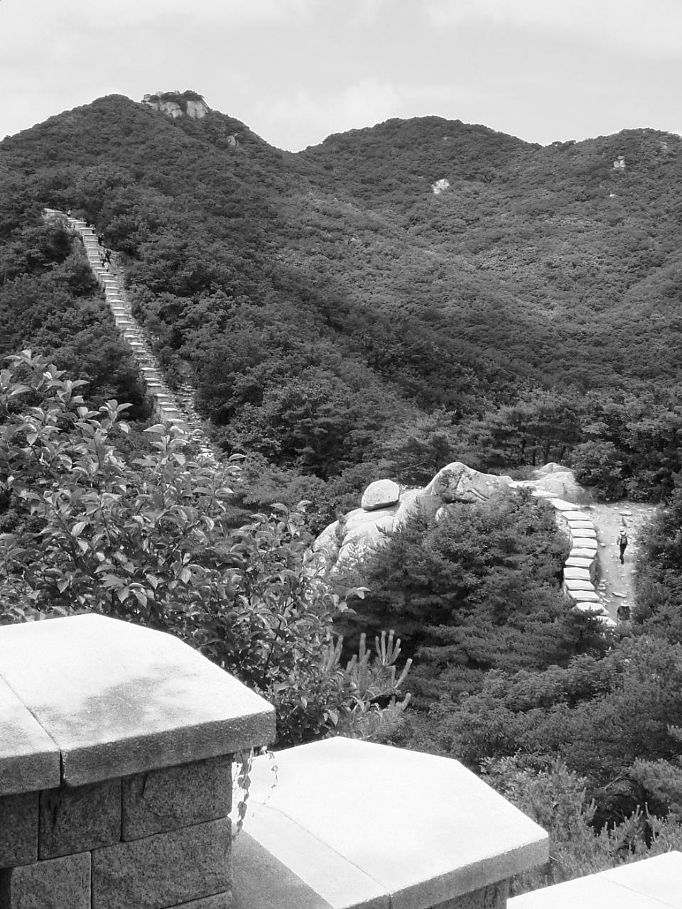 DSCF9562.JPG DSCF9562.JPG