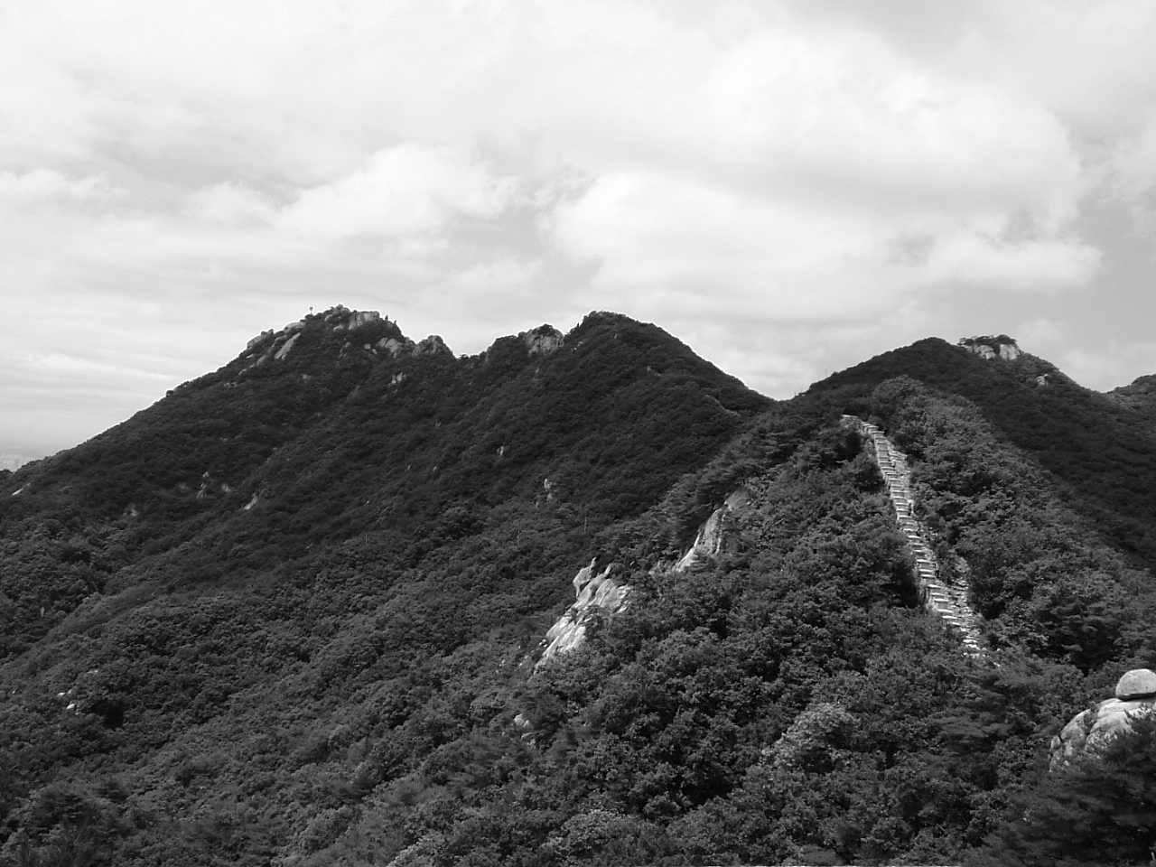 DSCF9563.JPG DSCF9563.JPG